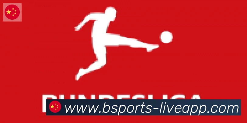 bsports体育合作伙伴